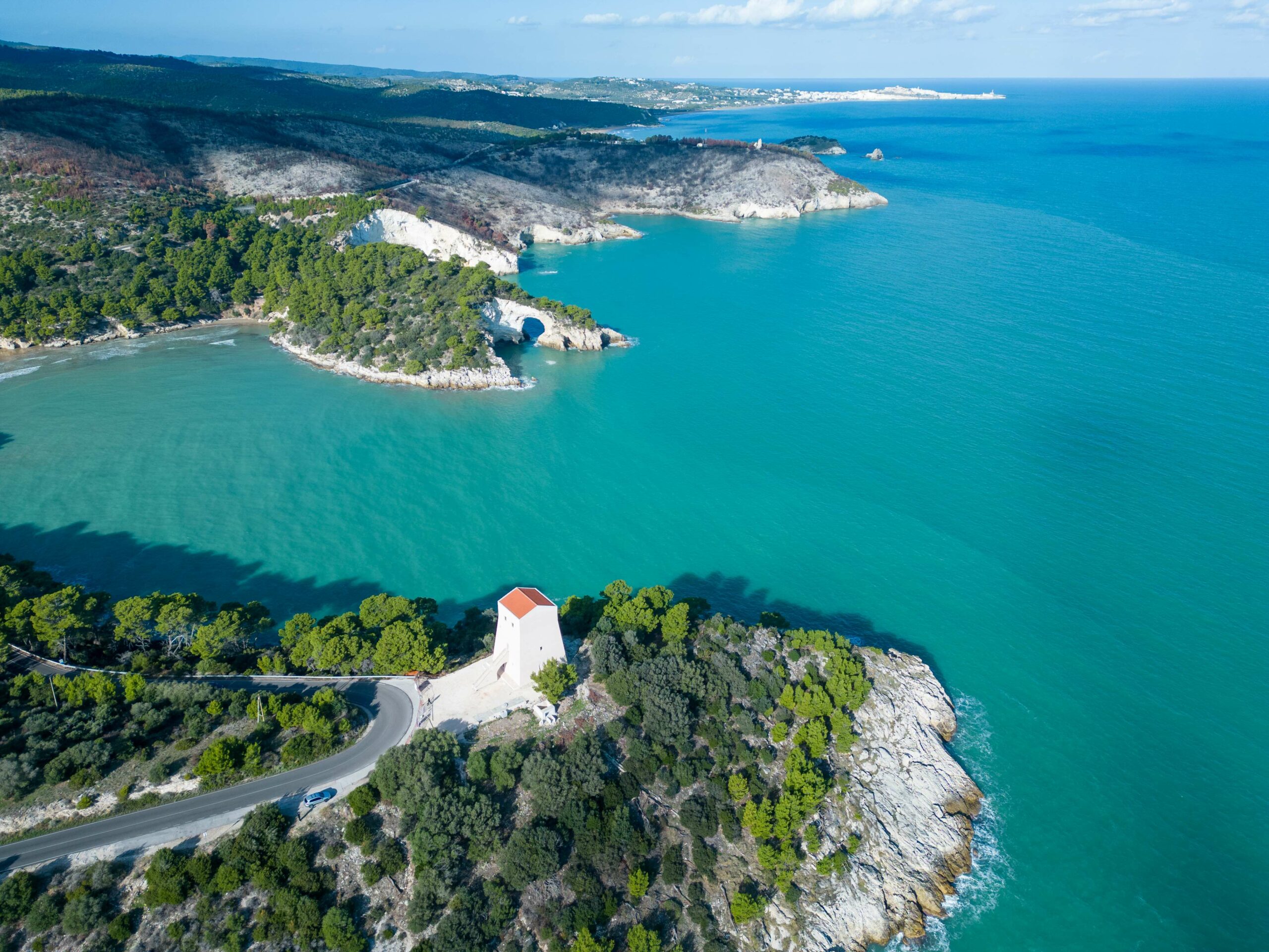 Vieste (FG) Torre San Felice DJI_0535